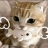 Chloe 赏了楼主1金币